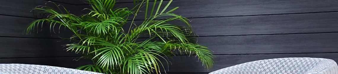 kompozito fasado dailylentės